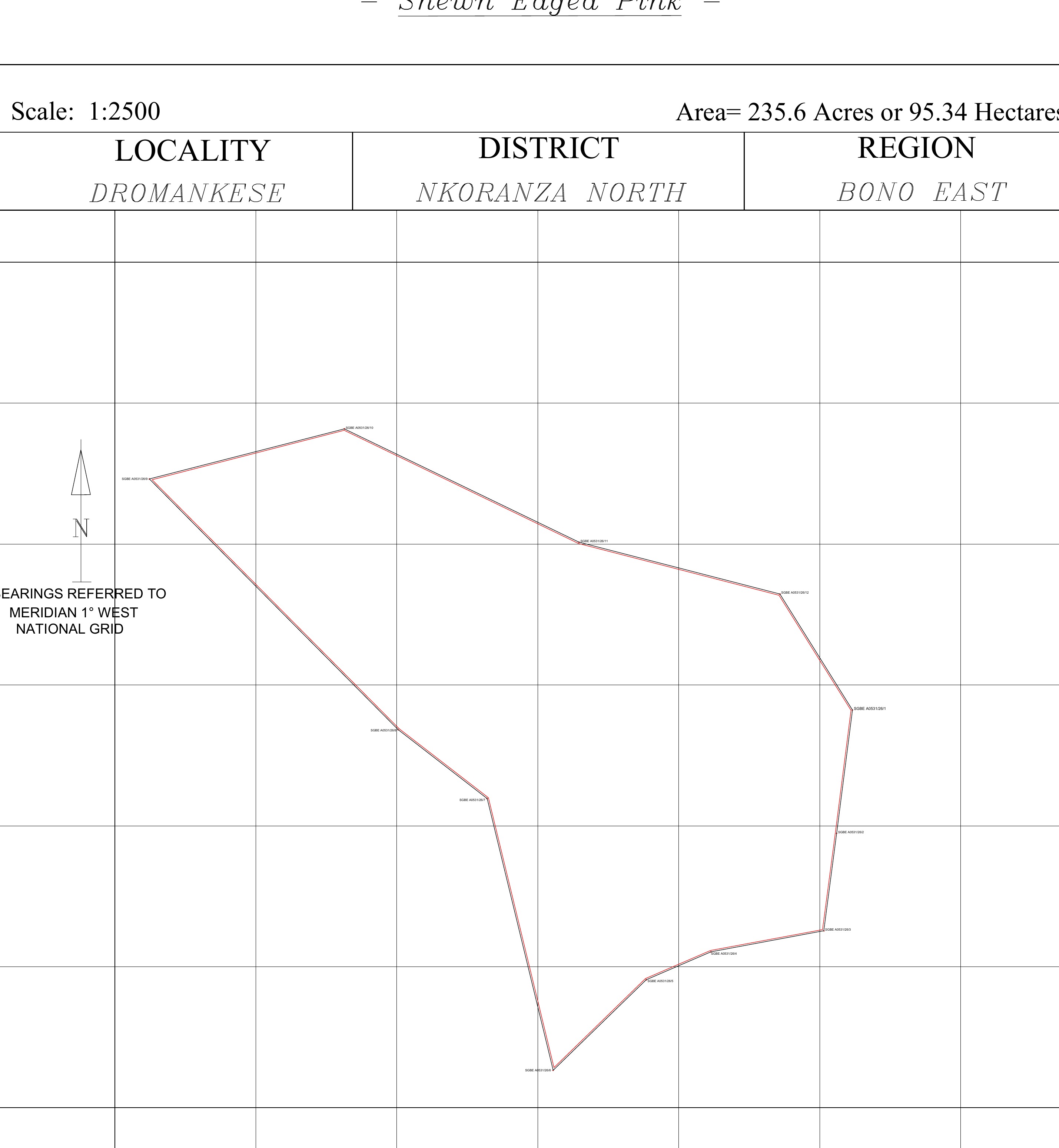 Draft survey geometry for the 235.60 acre parcel in Dromankese