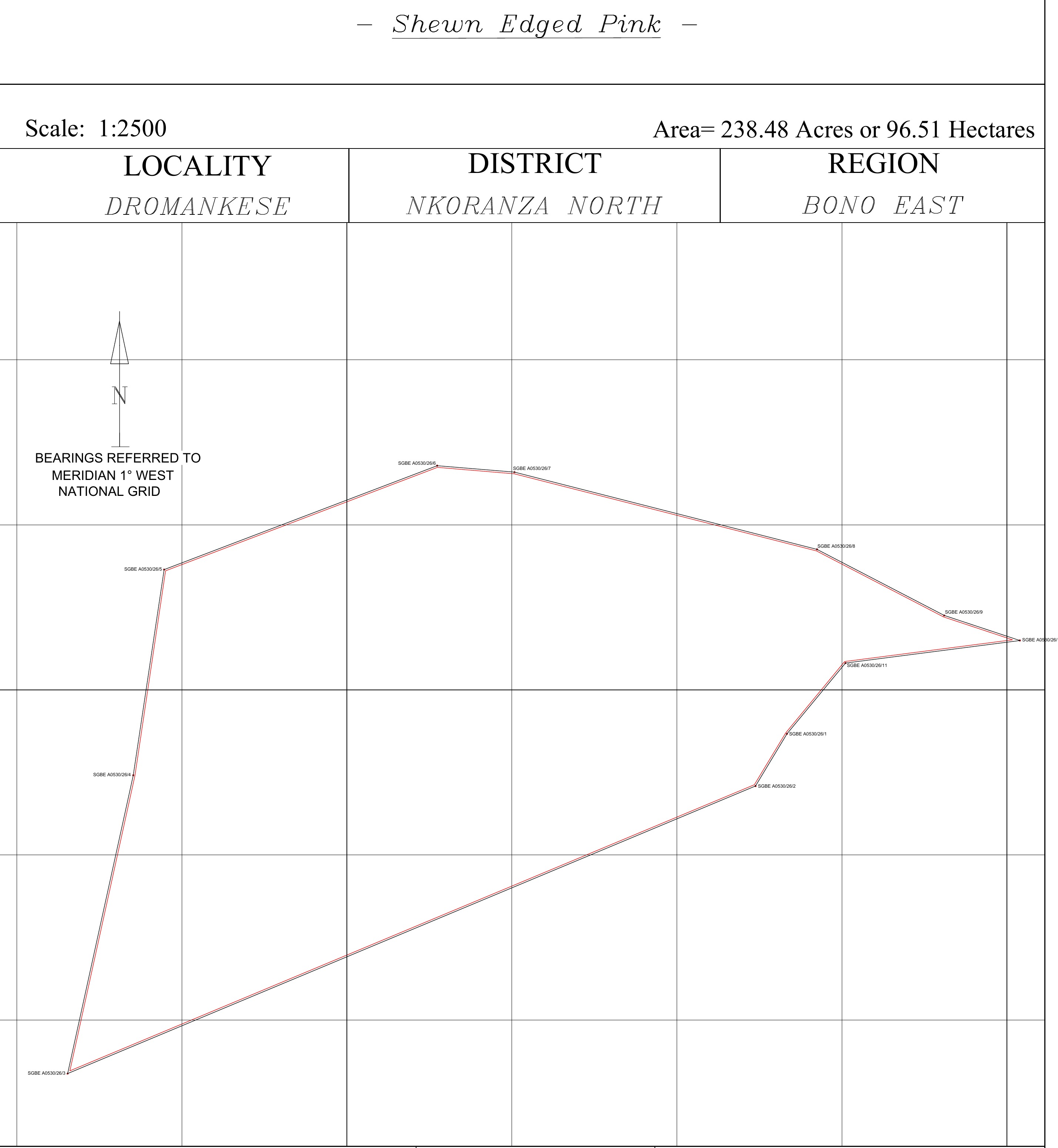 Draft survey geometry for the 238.48 acre parcel in Dromankese